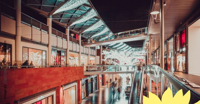 ,Schlau gemacht!‘ - 1. Preis für Realschule Kollnau