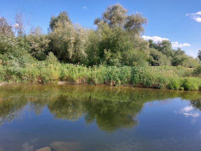 Rüdiger Tonojan MdL zum Polder Wyhl/Weisweil