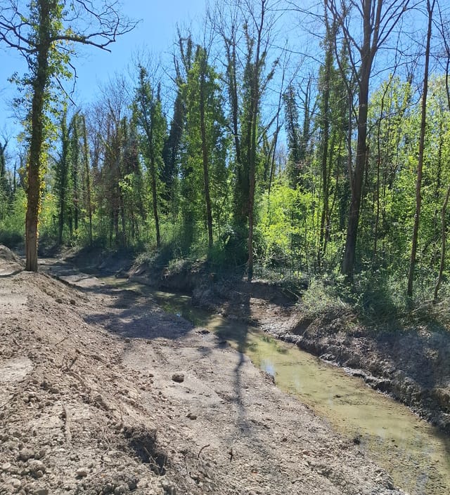 Weitere Gespräche zum Polder Wyhl/Weisweil